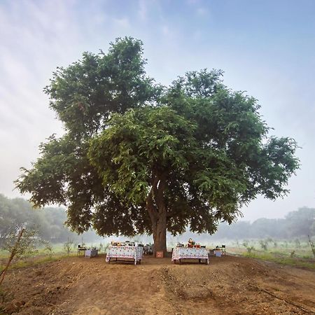 Mela Kothi - The Chambal Safari Lodge Bāh المظهر الخارجي الصورة