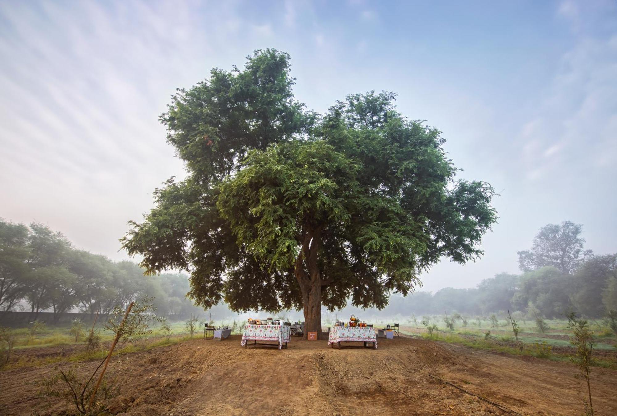 Mela Kothi - The Chambal Safari Lodge Bāh المظهر الخارجي الصورة