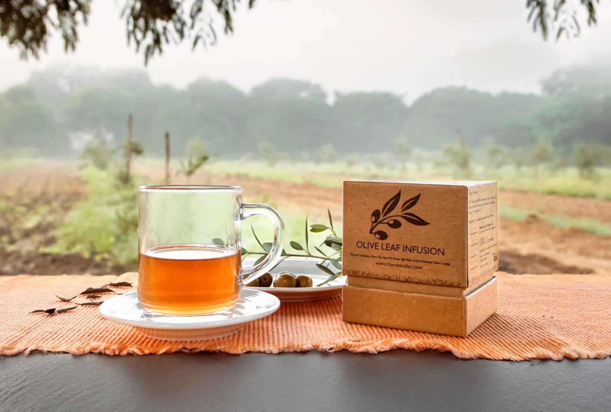 Mela Kothi - The Chambal Safari Lodge Bāh المظهر الخارجي الصورة