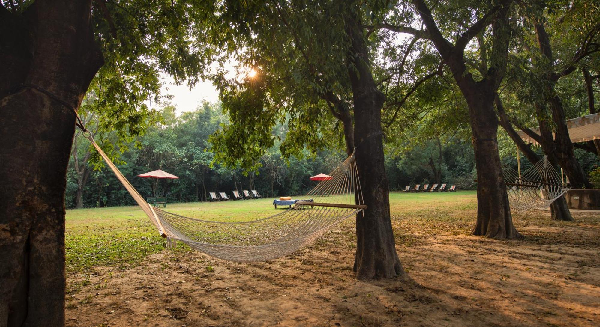 Mela Kothi - The Chambal Safari Lodge Bāh المظهر الخارجي الصورة